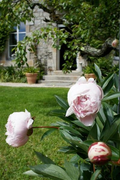 La Maison Les Mimosas Le Minihic-sur-Rance 외부 사진